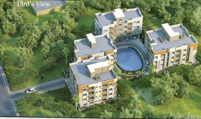 Royal Origin Elevation 2