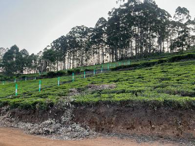 Project Image of 1000.0 - 12589.0 Sq.ft Residential Plot Plot for buy in Green Farm Estates