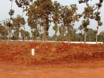 Project Image of 1503.0 - 1998.0 Sq.ft Residential Plot Plot for buy in Alluri S Nandanavanam Phase III