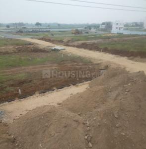 Project Images