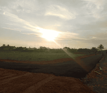 Project Images