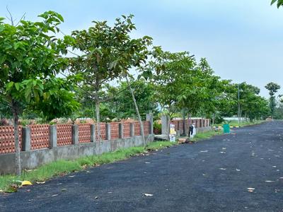 Project Image of 1980.0 - 3600.0 Sq.ft Residential Plot Plot for buy in Sri Rajeswari Dwaraka