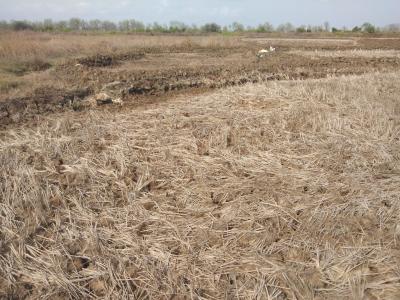 Project Image of 1000.0 - 10000.0 Sq.ft Residential Plot Plot for buy in AJ LAND IN VINDHANE THIRD MAHA MUMBAI
