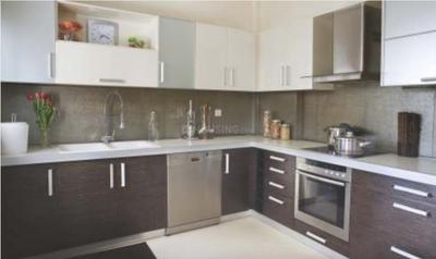 Project Image of 4139.0 - 4216.0 Sq.ft 4 BHK Villa for buy in Legend Horizon Villa