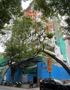 Project Image of 319.15 - 2240.08 Sq.ft 1 RK Apartment for buy in Navroze Najamai Mansion