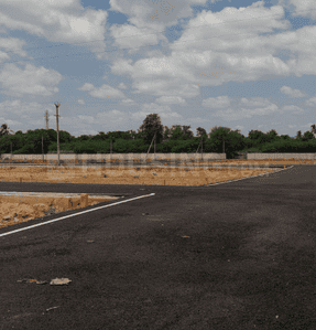 Project Images
