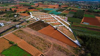 Project Image of 1300.0 - 12916.69 Sq.ft Residential Plot Plot for buy in Annciya Isha Serene