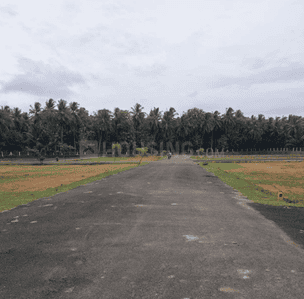Project Images