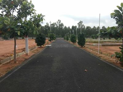 Project Image of 1200.0 - 1500.0 Sq.ft Residential Plot Plot for buy in Sizzle Okawood