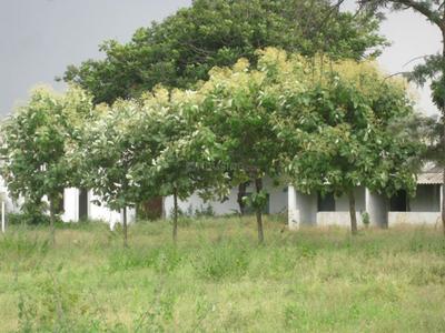 Project Image of 1215.0 - 2430.0 Sq.ft Residential Plot Plot for buy in Vasundhara Lorvens Gold Leaf