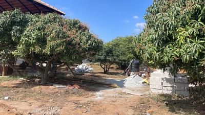Project Image of 5178.0 - 11433.0 Sq.ft Residential Plot Plot for buy in PK Mango Nest Farmlands