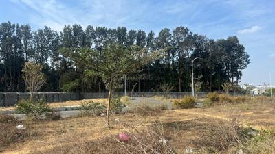 Project Image of 1200.0 - 1500.0 Sq.ft Residential Plot Plot for buy in Jublee Hills