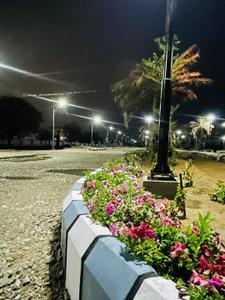 Project Image of 347.24 - 7865.4 Sq.ft Residential Plot Plot for buy in Kedia Keshvam Homeland