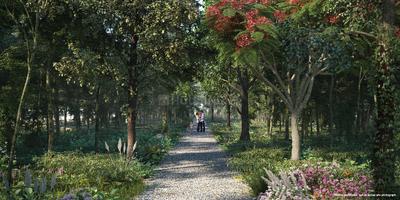Project Image of 900.0 - 1800.0 Sq.ft Residential Plot Plot for buy in Godrej Woodland Phase 1