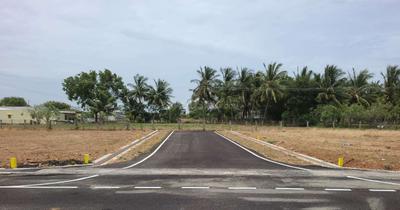 Project Images