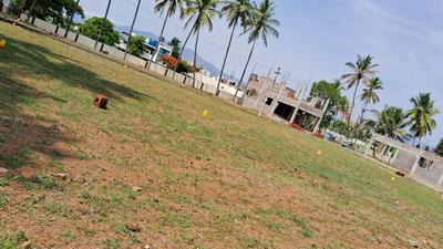 Vijay Royal Villas Elevation 1