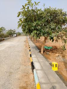 Project Image of 1152.0 - 2160.0 Sq.ft Residential Plot Plot for buy in Shashwita Srisha