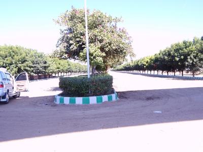 Project Image of 1350.0 - 4500.0 Sq.ft Residential Plot Plot for buy in Felicity Estancia