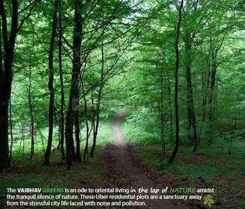 Project Image of 1200.0 - 2400.0 Sq.ft Residential Plot Plot for buy in Vaibhav Greens Phase I