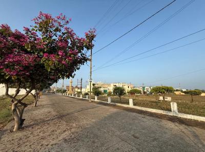 Project Image of 387.5 - 1692.73 Sq.ft Residential Plot Plot for buy in Century Nakshtra Nagar Phase 3