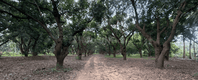 Project Image of 623.0 - 1835.0 Sq.ft Residential Plot Plot for buy in KG Fields Of Fortune