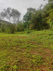 Project Image of 1000.0 - 10000.0 Sq.ft Residential Plot Plot for buy in Farm N Land Roha