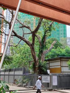 Project Image of 679 Sq.ft 1.5 BHK Apartment / Flat for sale in Mulund West for Rs. 16000000