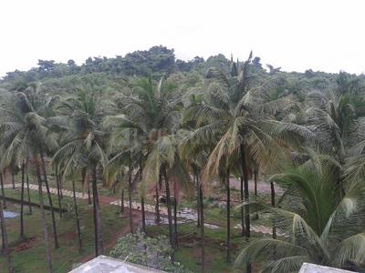Project Image of 1390.0 - 4145.0 Sq.ft Residential Plot Plot for buy in Emerald Coconut Grove