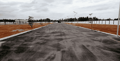 Project Images