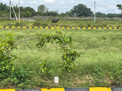Project Image of 1350.0 - 2646.0 Sq.ft Residential Plot Plot for buy in Greenville Lorven County 