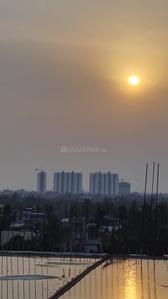 Project Image of 777.0 - 1610.0 Sq.ft 1 BHK Apartment for buy in Crown Estrella