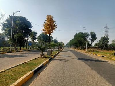 Project Image of 900.0 - 9000.0 Sq.ft Residential Plot Plot for buy in AMG Palm Garden
