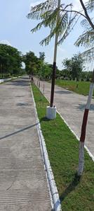 Project Image of 590.0 - 1500.0 Sq.ft Residential Plot Plot for buy in Fortune Golden Panorama