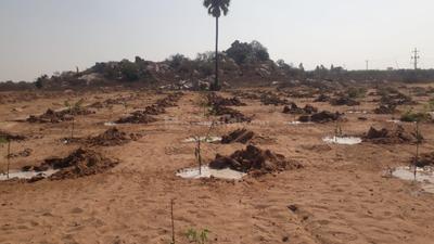 Project Image of 1088.98 - 5435.99 Sq.ft Residential Plot Plot for buy in ASMR Savannah