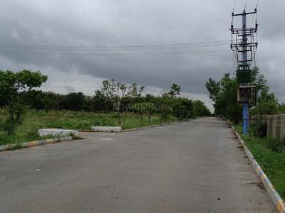 Flamingo Township Electrification(Transformer, Solar Energy etc) 1