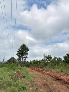 Project Image of 6000.0 - 12000.0 Sq.ft Residential Plot Plot for buy in Navile Farms 