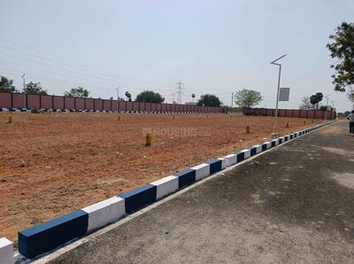 Project Image of 950.0 - 2550.0 Sq.ft Residential Plot Plot for buy in Real Value Land AR Avenue II