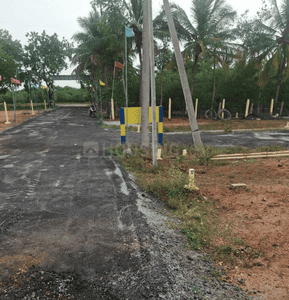 Project Images