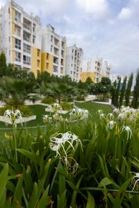 Project Image of 456.0 - 756.0 Sq.ft 1 BHK Apartment for buy in RRG Builders And Developers 1BHK and 2BHK Flats