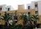 2A El Dorado Apartment More Images 2