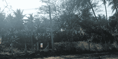 Project Images