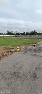 Project Image of 854.0 - 1727.0 Sq.ft Residential Plot Plot for buy in Blossom New Town