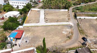 Project Image of 713.0 - 1732.0 Sq.ft Residential Plot Plot for buy in Vamanan Vamanan Pink Avenue