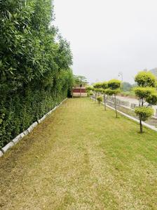 Project Image of 600.0 - 1000.0 Sq.ft Residential Plot Plot for buy in Tirupati Greens