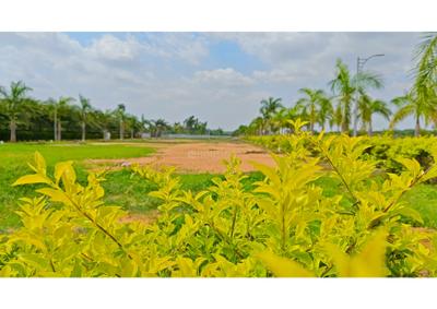 Project Image of 1200.0 - 2400.0 Sq.ft Residential Plot Plot for buy in Xotic Anthea