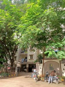 Project Image of 1200.0 - 1910.0 Sq.ft 2 BHK Apartment for buy in Modi Palm Springs