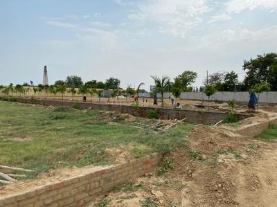 Project Image of 1080.0 - 1458.0 Sq.ft Residential Plot Plot for buy in Soha Neal City