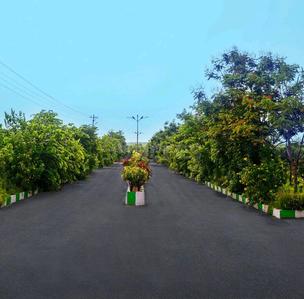 Project Image of 810.0 - 9000.0 Sq.ft Residential Plot Plot for buy in Siyora Royal Court