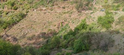 Plot Elevation 2