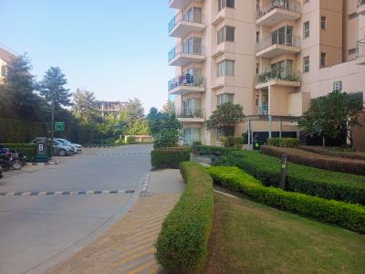 Project Image of 1132.0 - 3428.0 Sq.ft 2 BHK Apartment for buy in Ireo Uptown